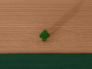 Foto_Online_2014_Landschap