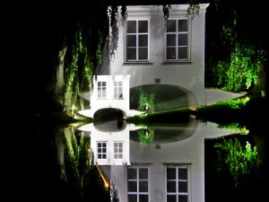 Cees Snel