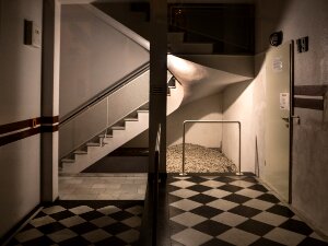 De 10 beste foto's van 2019 door de clubleden gekozen