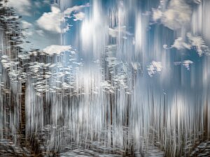 Ieder jaar creëren de leden een portfolio, hun beste 5 foto's van het jaar. Deze zijn dit jaar beoordeeld door Fotoclub Vleuten.