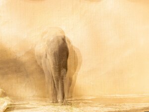 Jaarlijkse tentoonstelling in theater de Kom van 9 mei tot en met 4 juni 2026