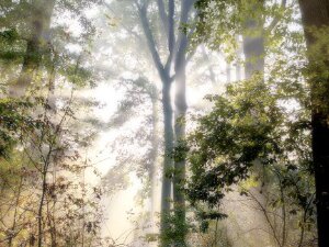 Portraits of landscapes