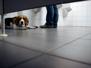 Behoeftig