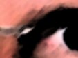 John Roeleven