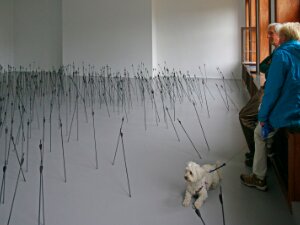 Kunst_&_Kijken